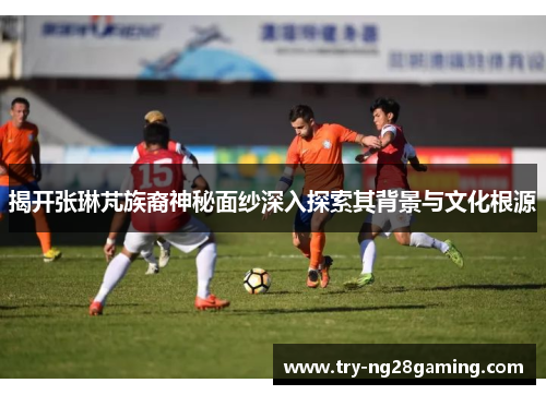 揭开张琳芃族裔神秘面纱深入探索其背景与文化根源