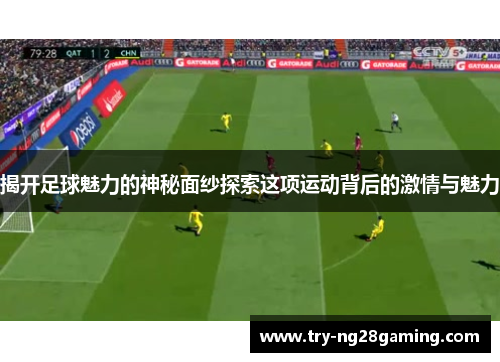 揭开足球魅力的神秘面纱探索这项运动背后的激情与魅力