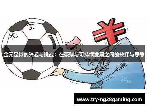 金元足球的兴起与挑战：在豪赌与可持续发展之间的抉择与思考