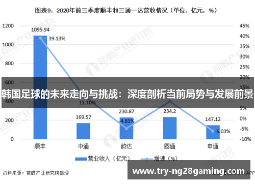 韩国足球的未来走向与挑战：深度剖析当前局势与发展前景