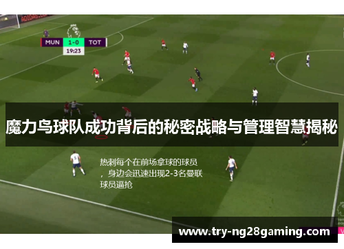 魔力鸟球队成功背后的秘密战略与管理智慧揭秘