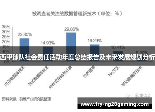 西甲球队社会责任活动年度总结报告及未来发展规划分析